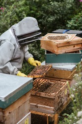 Premium Beekeeping Protective Clothing – Stay Safe & Comfortable